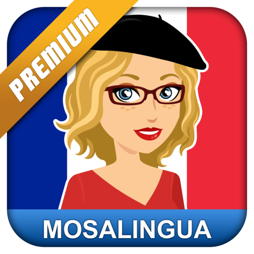 Learn French with MosaLingua