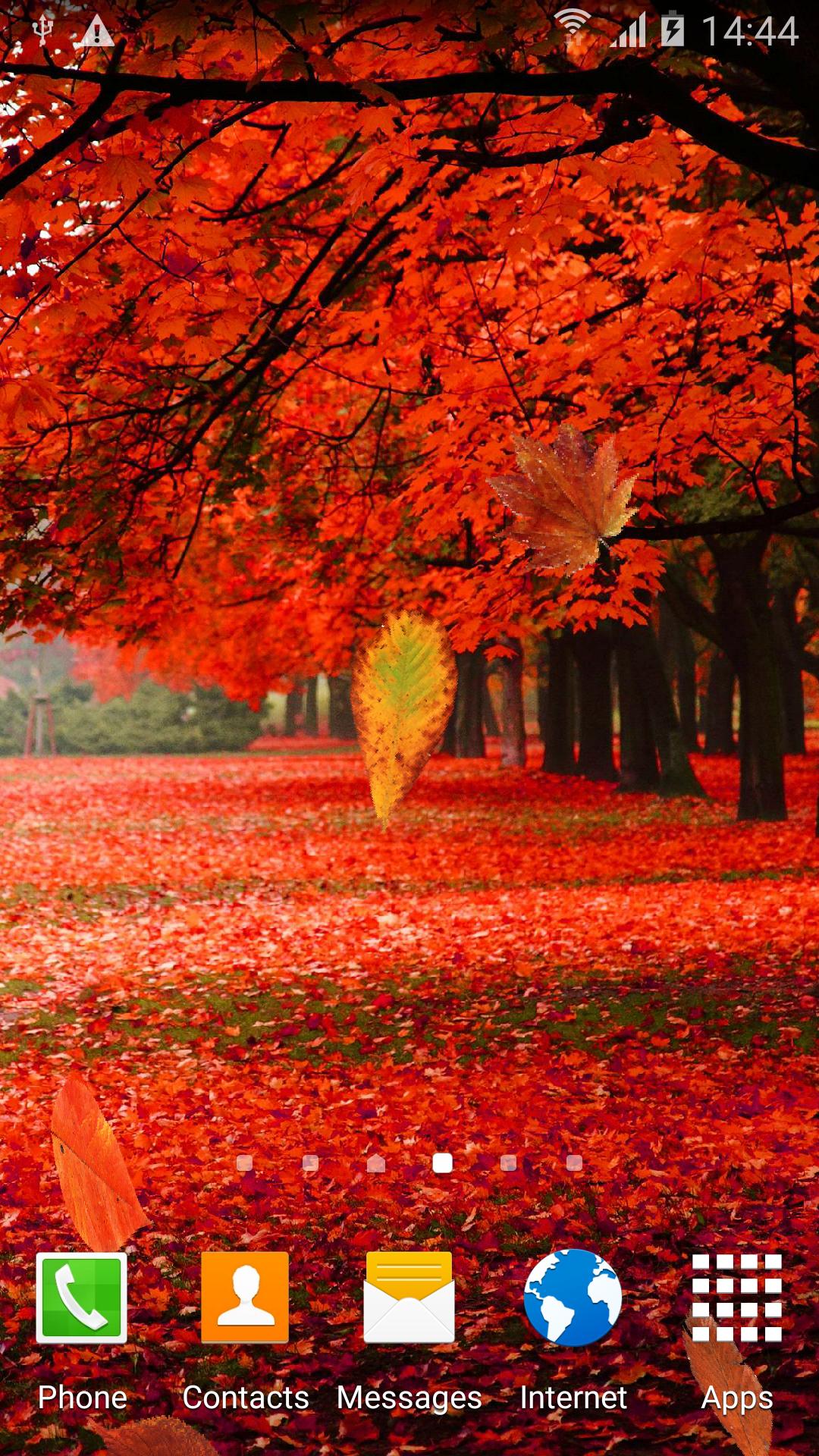 Download Autumn Forest Live Wallpaper android on PC