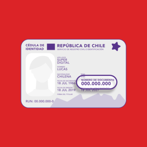 Rut Chile Personas Vehiculos