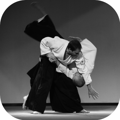 aikido dersleri