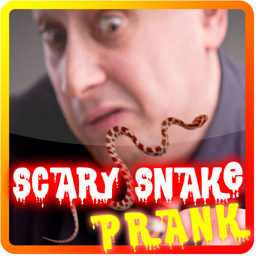 Scary Snake Prank Joke on Screen