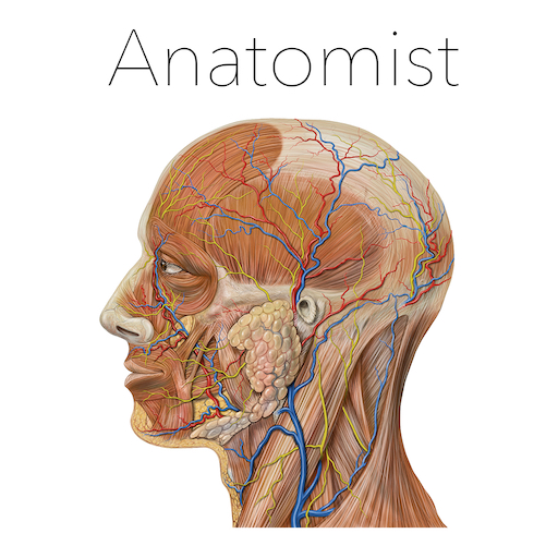 Anatomist — игра по анатомии
