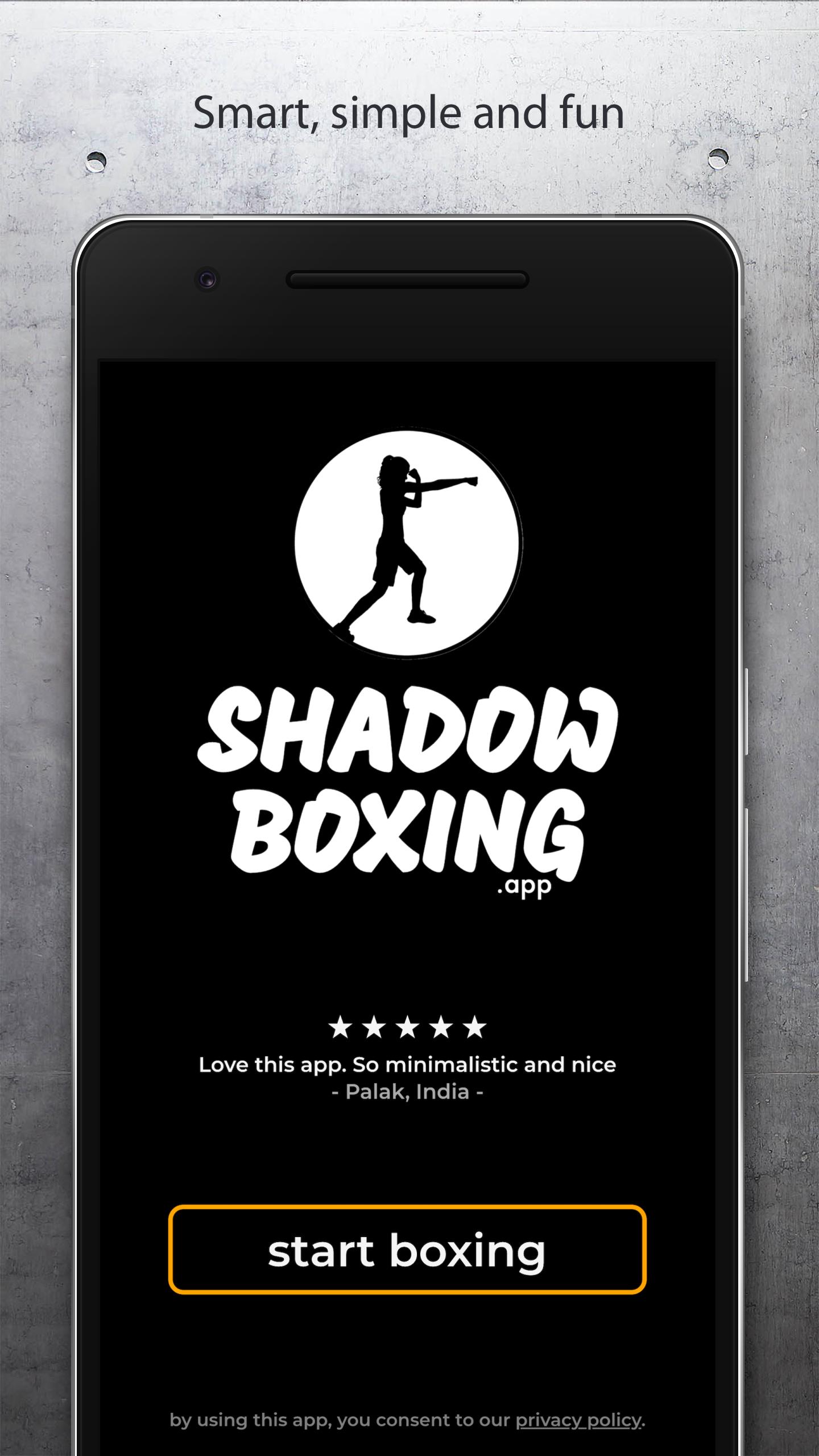 Digital Boxing Workout Systems : interactive shadowboxing game