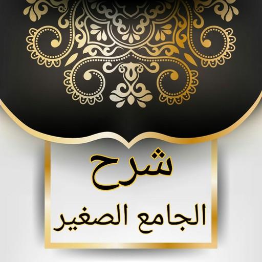 الجامع الصغير وشرحه النافع الك