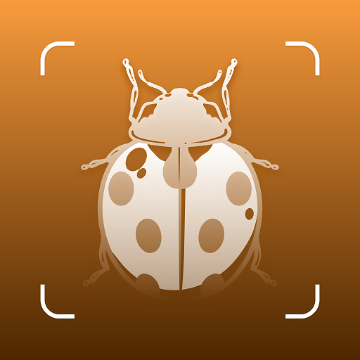Insect ID - Bug identifier app