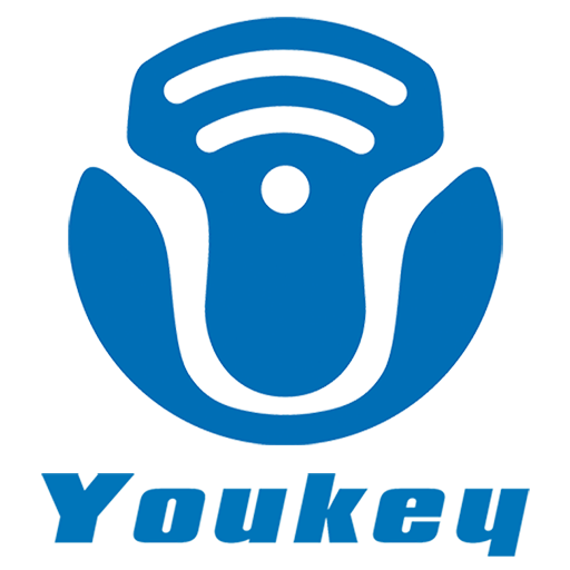 Youkey SonoiQ - Wireless Pocke