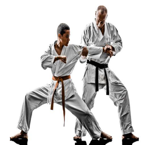 Shotokan Karate