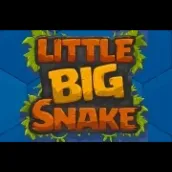 Little Big Snake.io