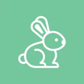 Rabbit Information