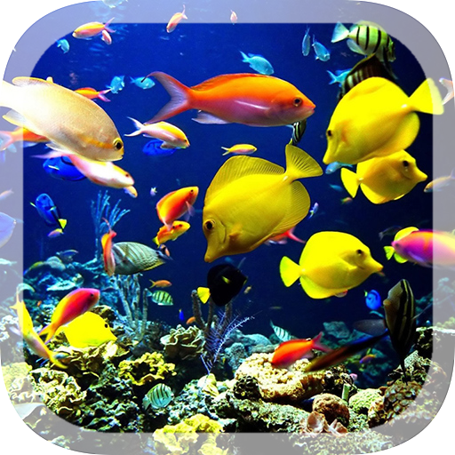 3D Akvaryum Canlı Duvar Kağıdı