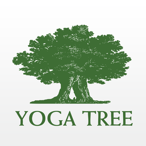 Yoga Tree SF