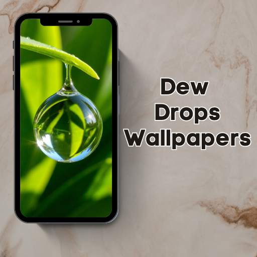 Dew Drops Wallpapers