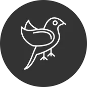 Golden Birds Game