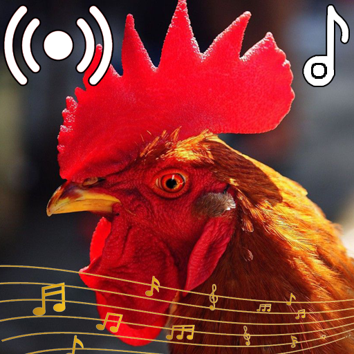 Rooster Sounds Ringtone