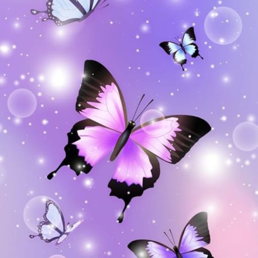 Butterflies wallpapers