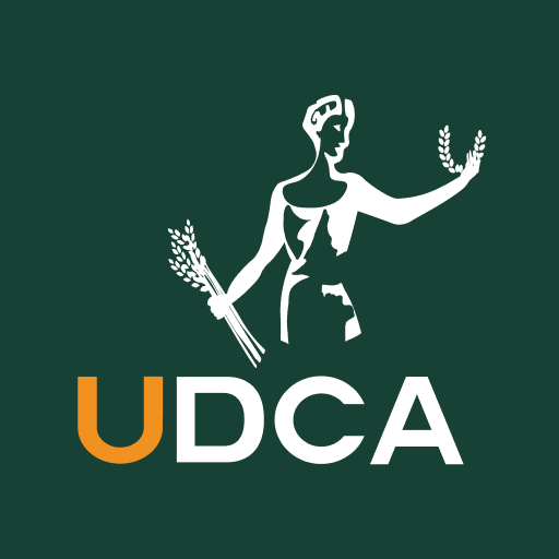 UDCA