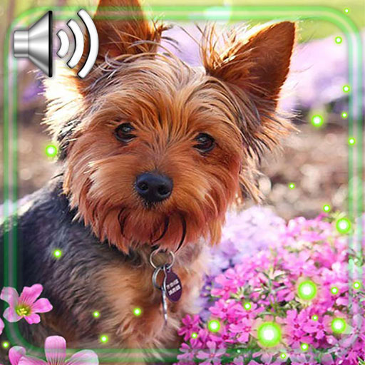 Puppies and Flowers Live Wallpaper