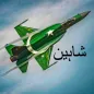 Shaheen: JF17 Thunder Pak Game