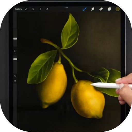 Painting Procreate Guide