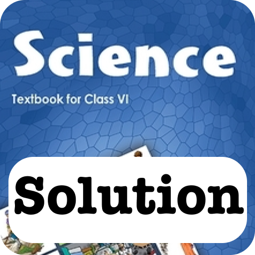 Class 6 NCERT Science Solution