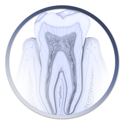 Atlas Odontología