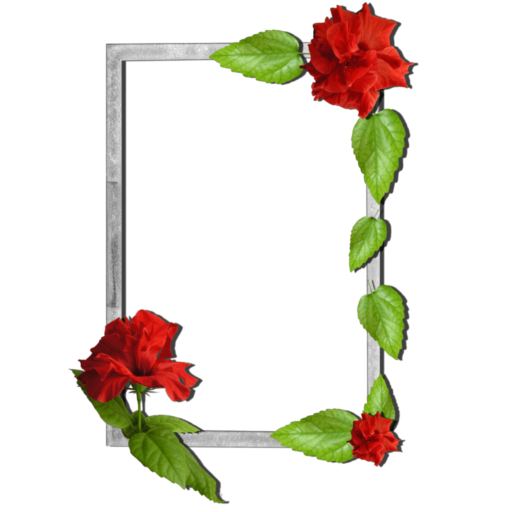 Floral photo Frames