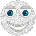 Talking Hairy Ball