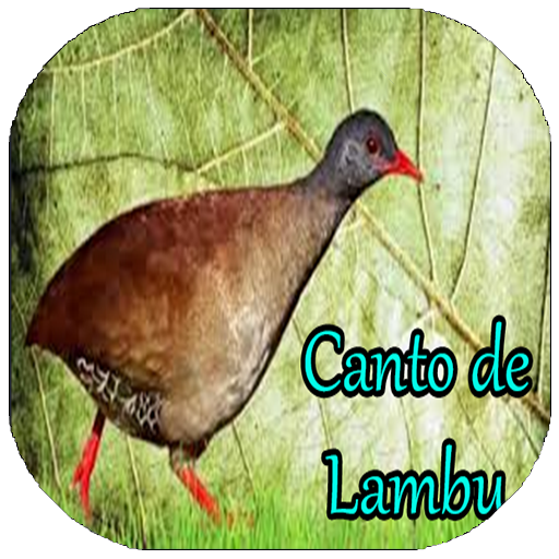 Canto de Lambu Offline