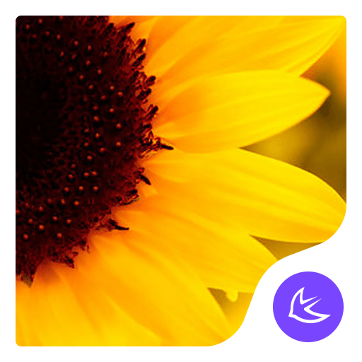 Sunflower APUS launcher theme