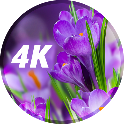 Papéis de flores em 4K