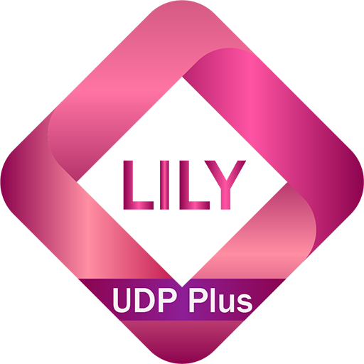 Lily UDP Plus - High Speed