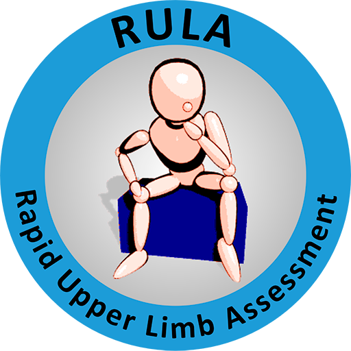 Rapid Upper Limb Assessment
