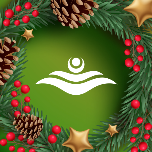 Магнолия доставка