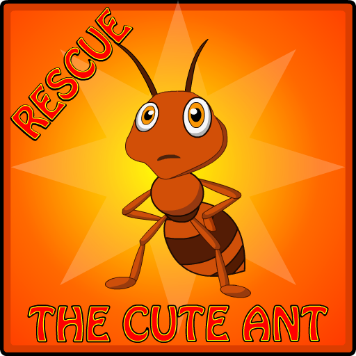 Rescue The Cute Ant