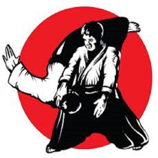 aikido