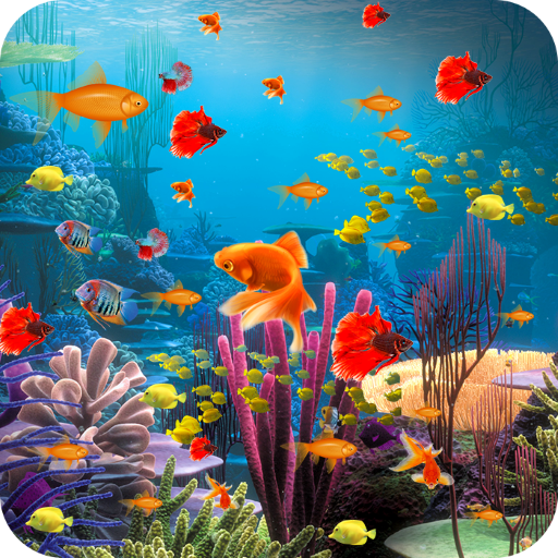 Fish Live Wallpaper Machhali L