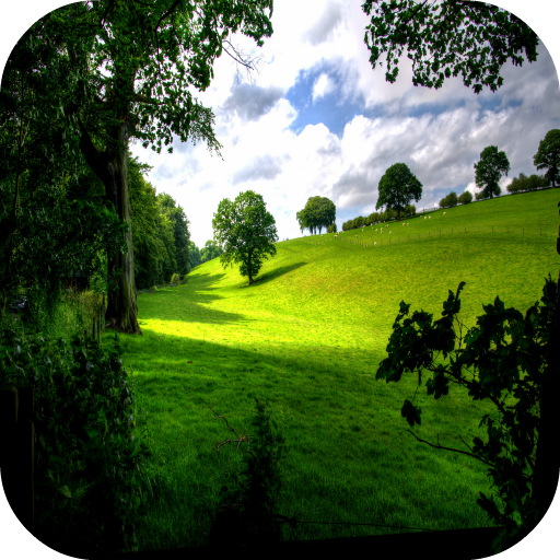 Nature Images
