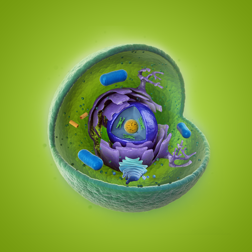 Cell Structure