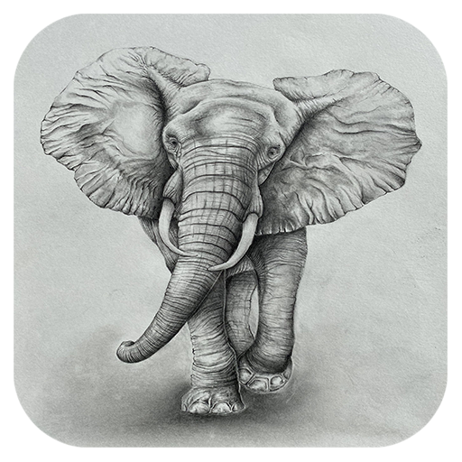 Elephant Wallpapers