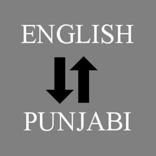 English - Punjabi Translator