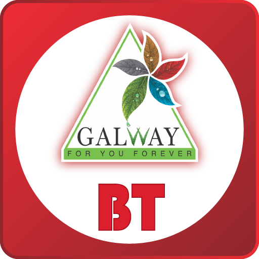 Galway BT