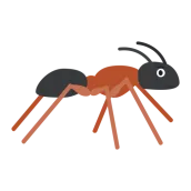 Ant Nuptial Flight Predictor