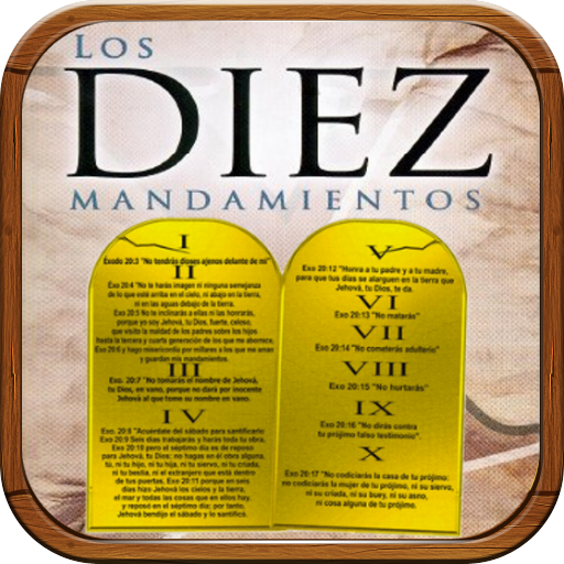 Los diez mandamientos de la bi