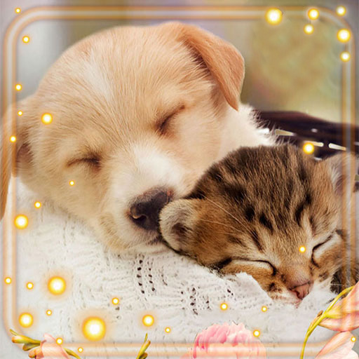 Kitty and Puppy Live Wallpaper