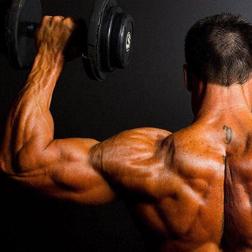 Shoulder workout Gym Exercises