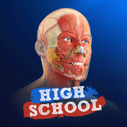 High School Anatomy 21