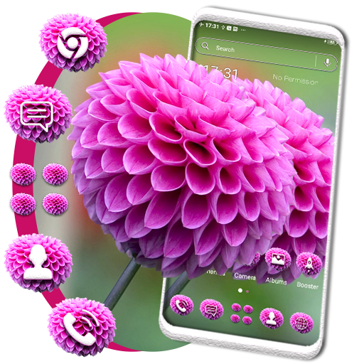 Dahlia Flower Theme