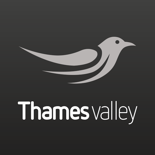 Thames Valley Buses