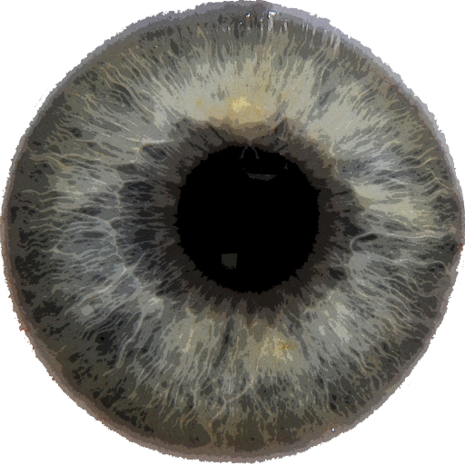 Diagnóstico ocular