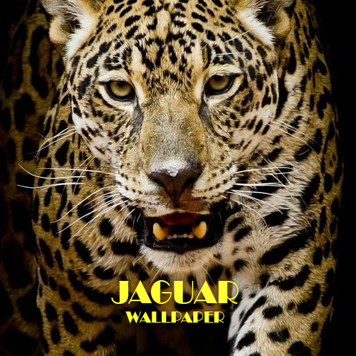 Jaguar Animal Wallpaper